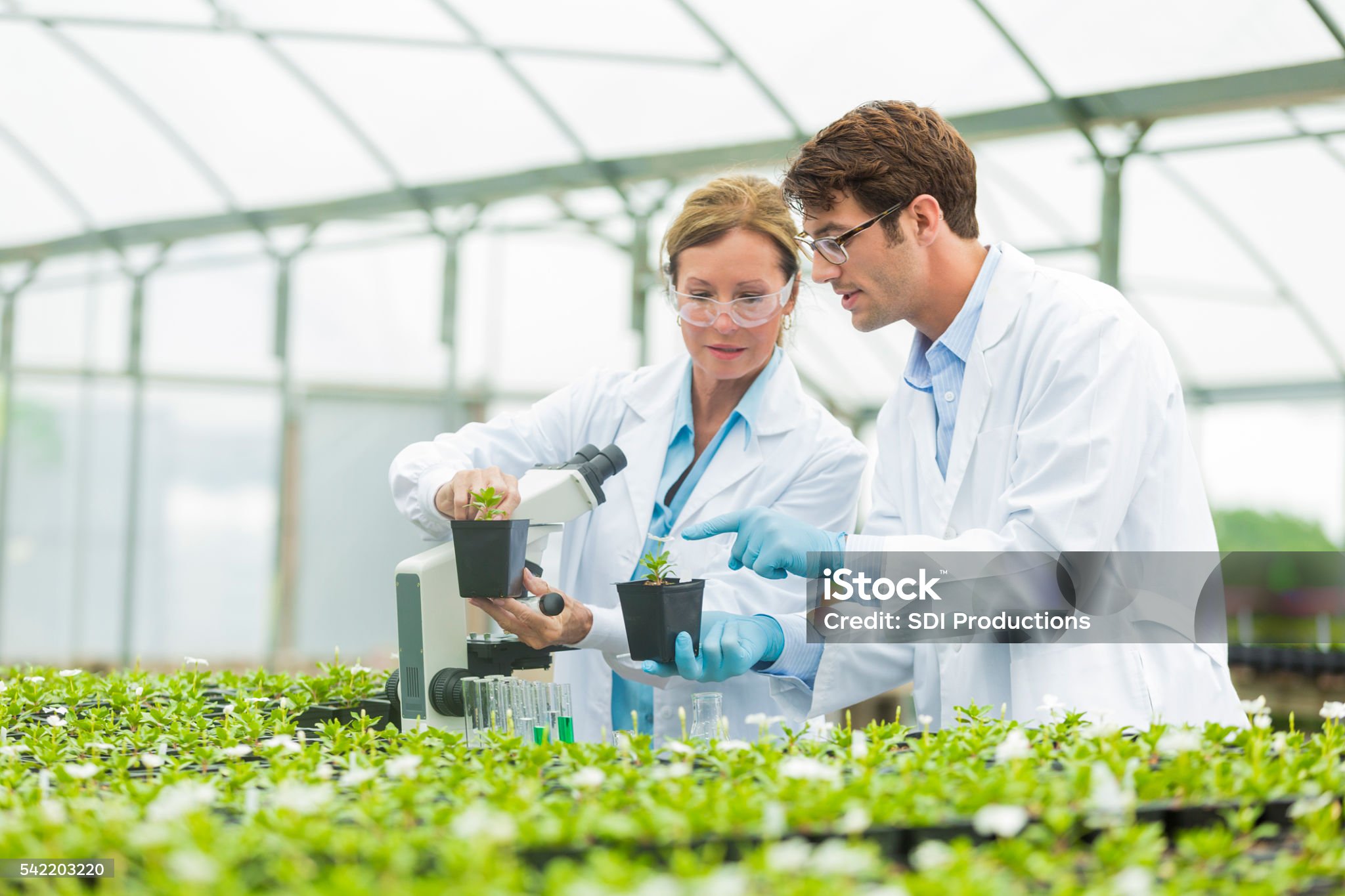 Industries We Serve